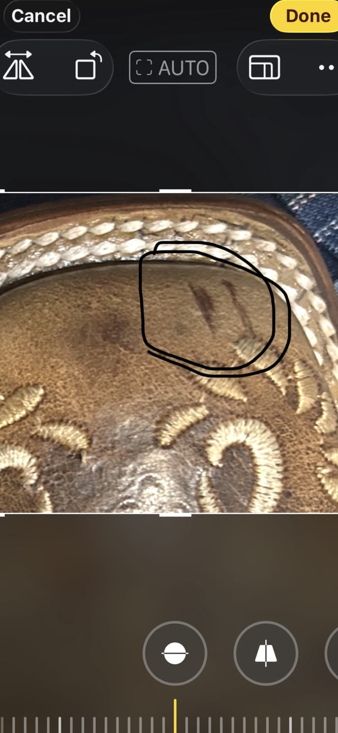 Customer photo review of Cowboy Boot Matilda Brown