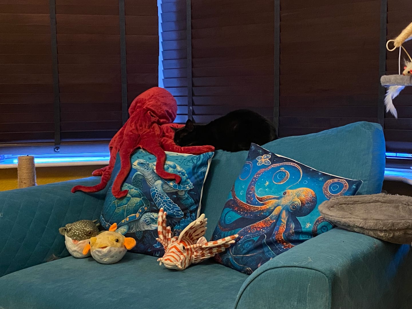 Customer photo review of Red Octopus Soft Stuffed Plush Toy