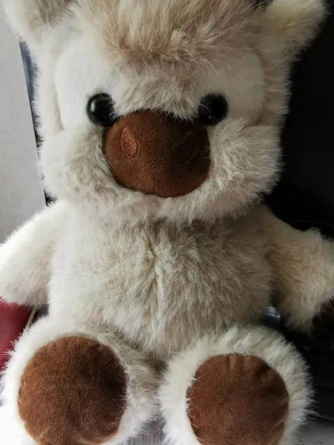 Customer photo review of La peluche vache qui court quand on l’agite | Floomie®