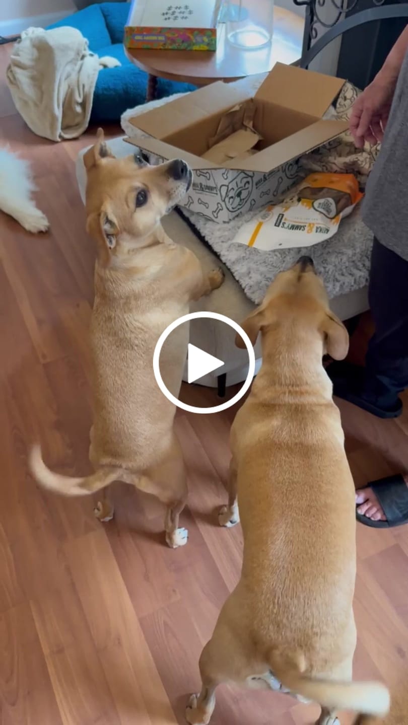 Customer video review of Smoked Beef Marrow Bone