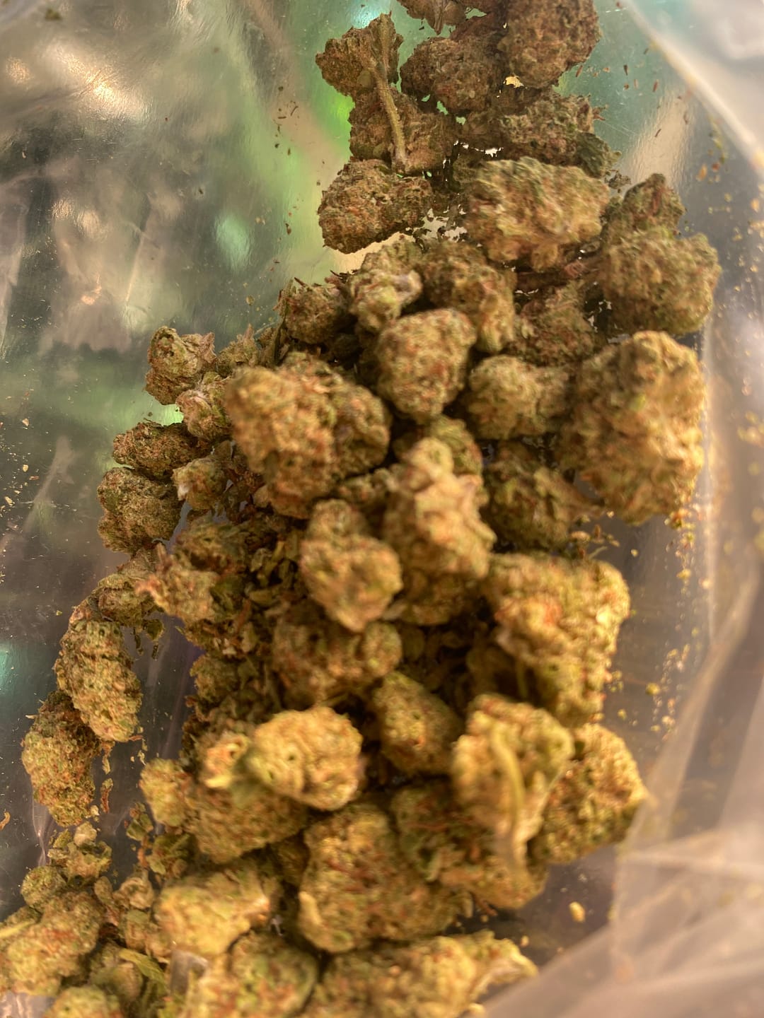 Customer photo review of Apple Banana Minis - Bulk Minis - Hybrid
