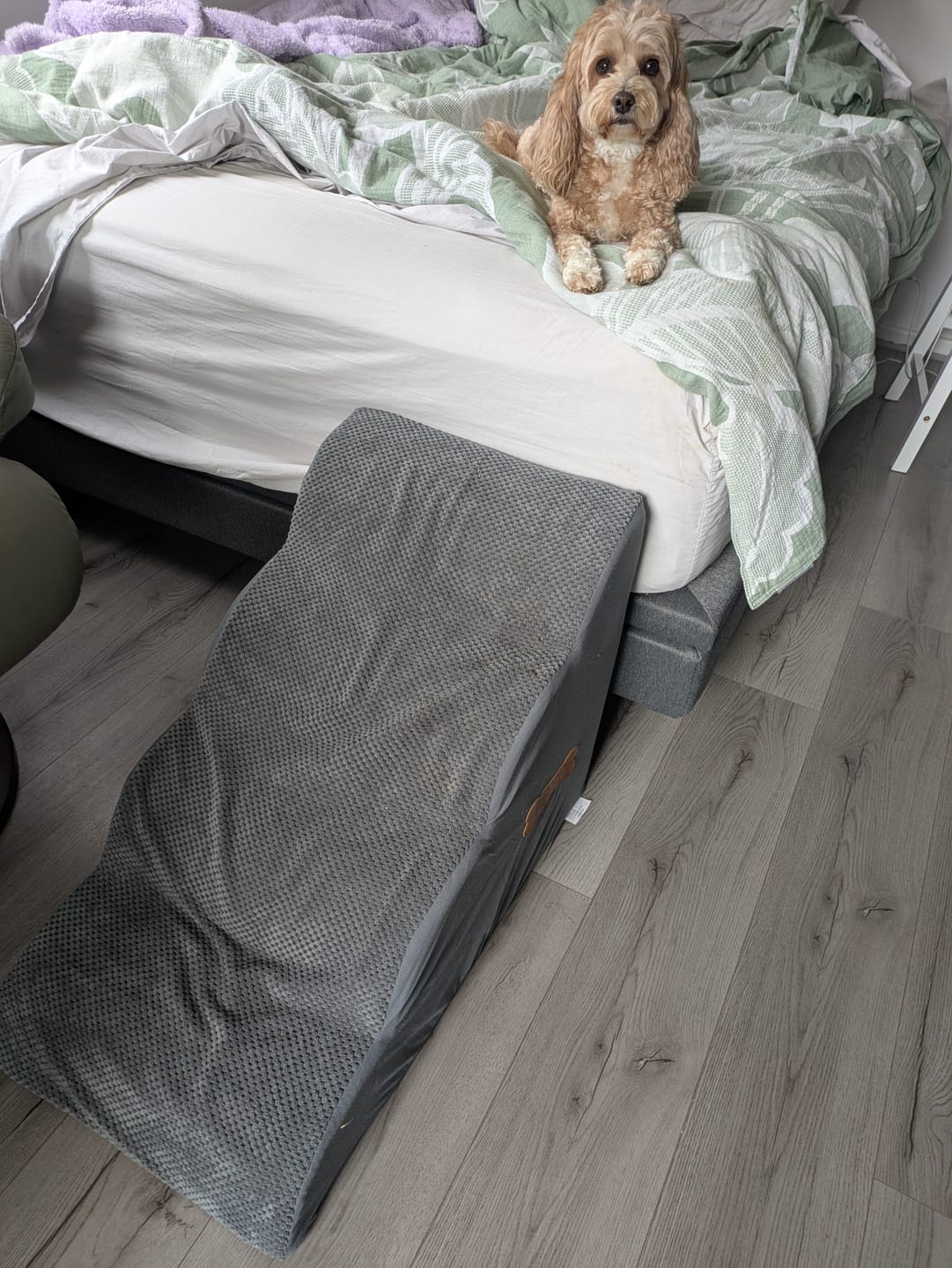 Customer photo review of Soft Foam Dog Stairs – Non-Slip Dog Steps for Beds & Couches
