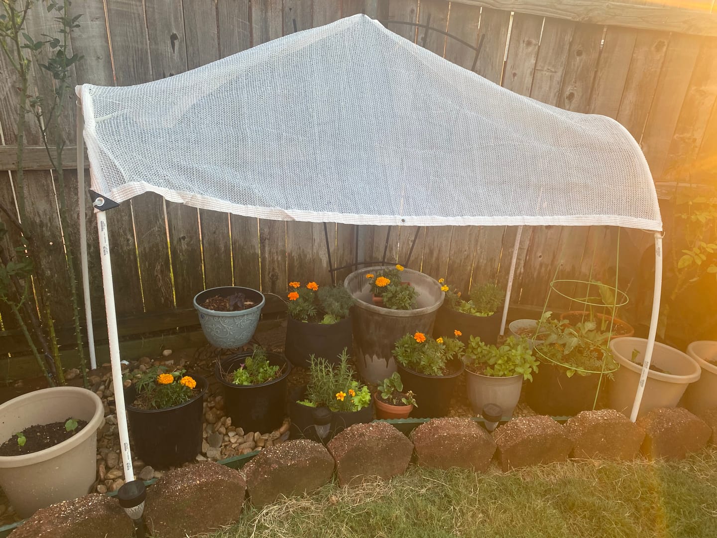 Customer photo review of 40% Shade Cloth