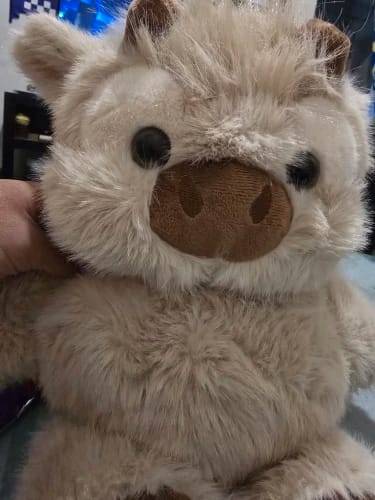 Customer photo review of La peluche vache qui court quand on l’agite | Floomie®