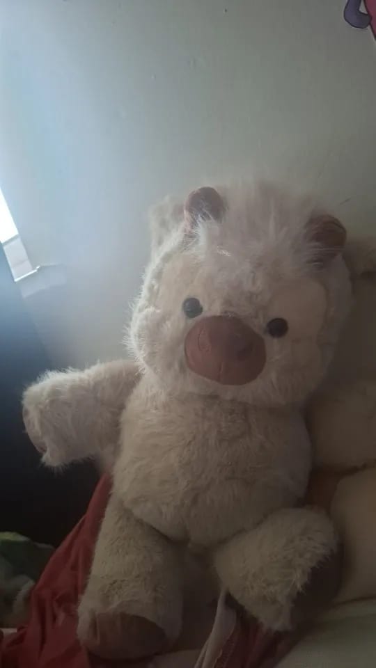 Customer photo review of La peluche vache qui court quand on l’agite | Floomie®