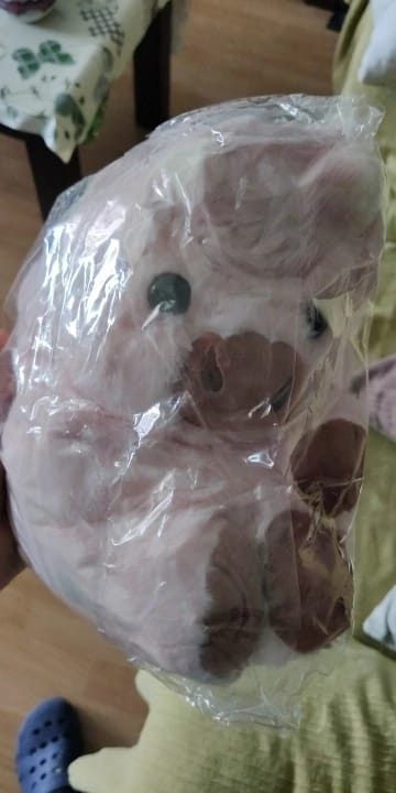 Customer photo review of La peluche vache qui court quand on l’agite | Floomie®