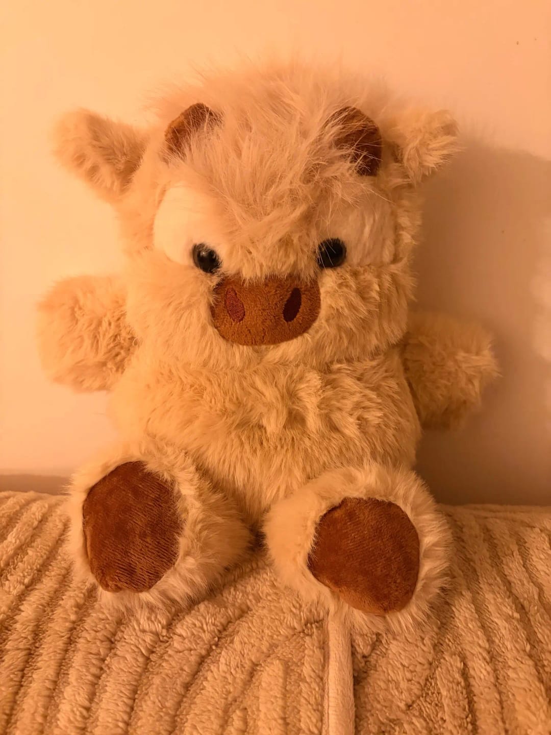 Customer photo review of La peluche vache qui court quand on l’agite | Floomie®