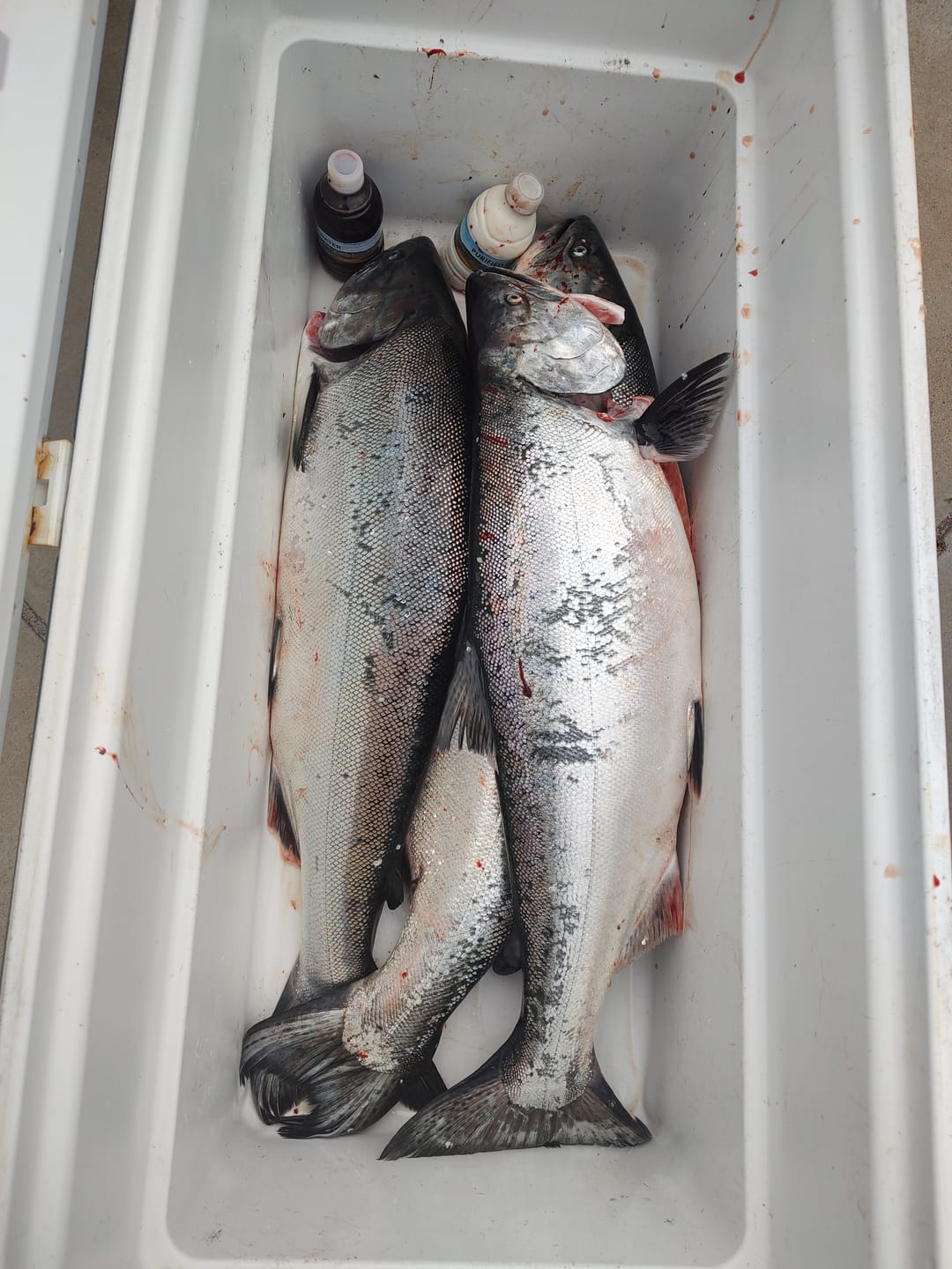 Customer photo review of Optimizer™ Size 4