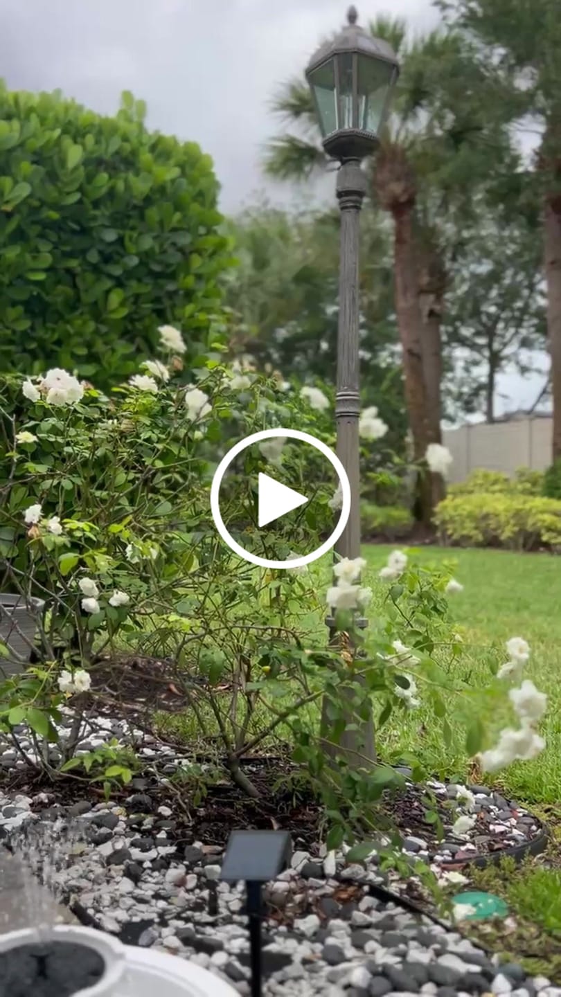 Customer video review of Lago 22.5" Instant Pond Fountain