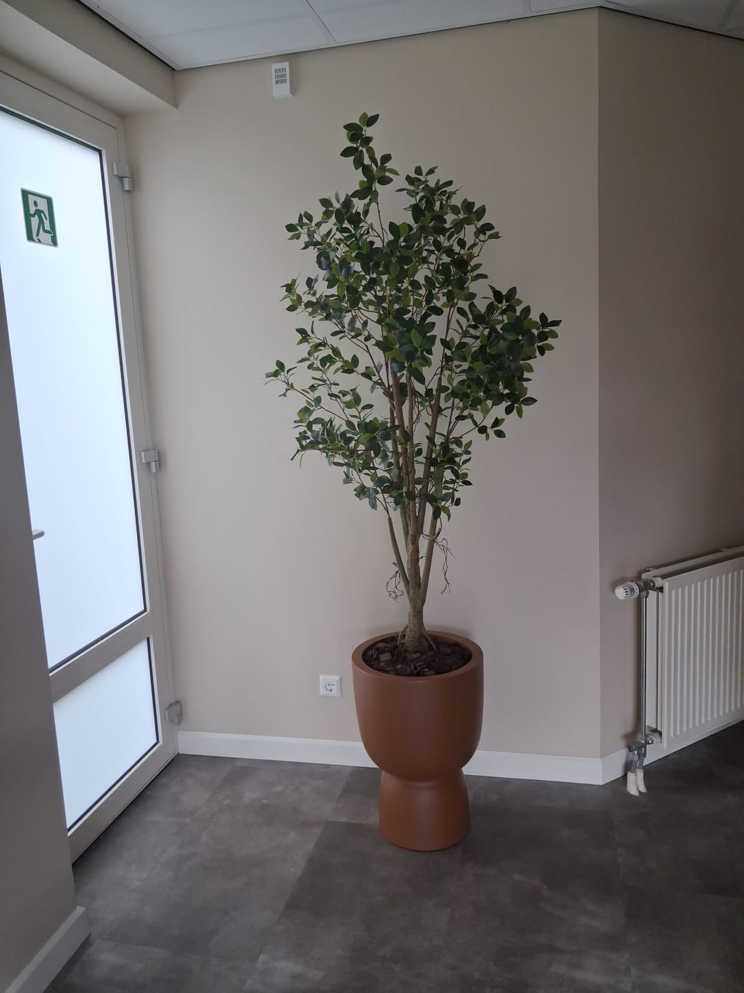 Customer photo review of Ficus Kunstplant 180cm
