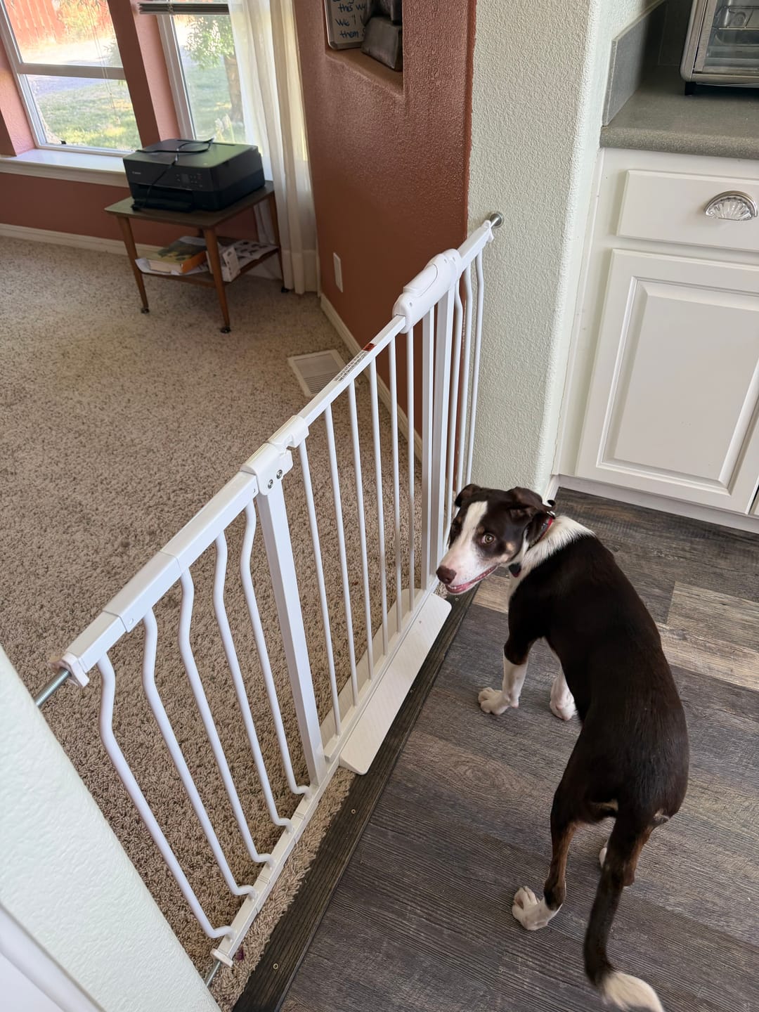 Customer photo review of FairyBaby Extra Wide Baby Gate, Easy Install Extra Security