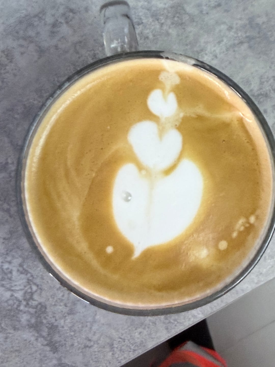 Customer photo review of Strong Dark Roast Coffee - Black Mamba - High Caffeine
