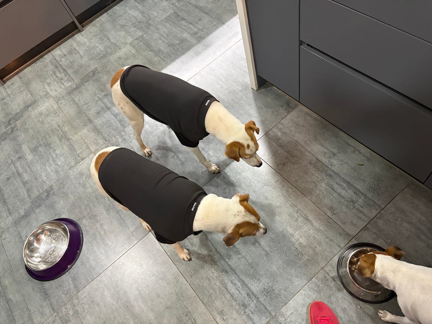 Customer photo review of Polera Térmica Power Stretch™