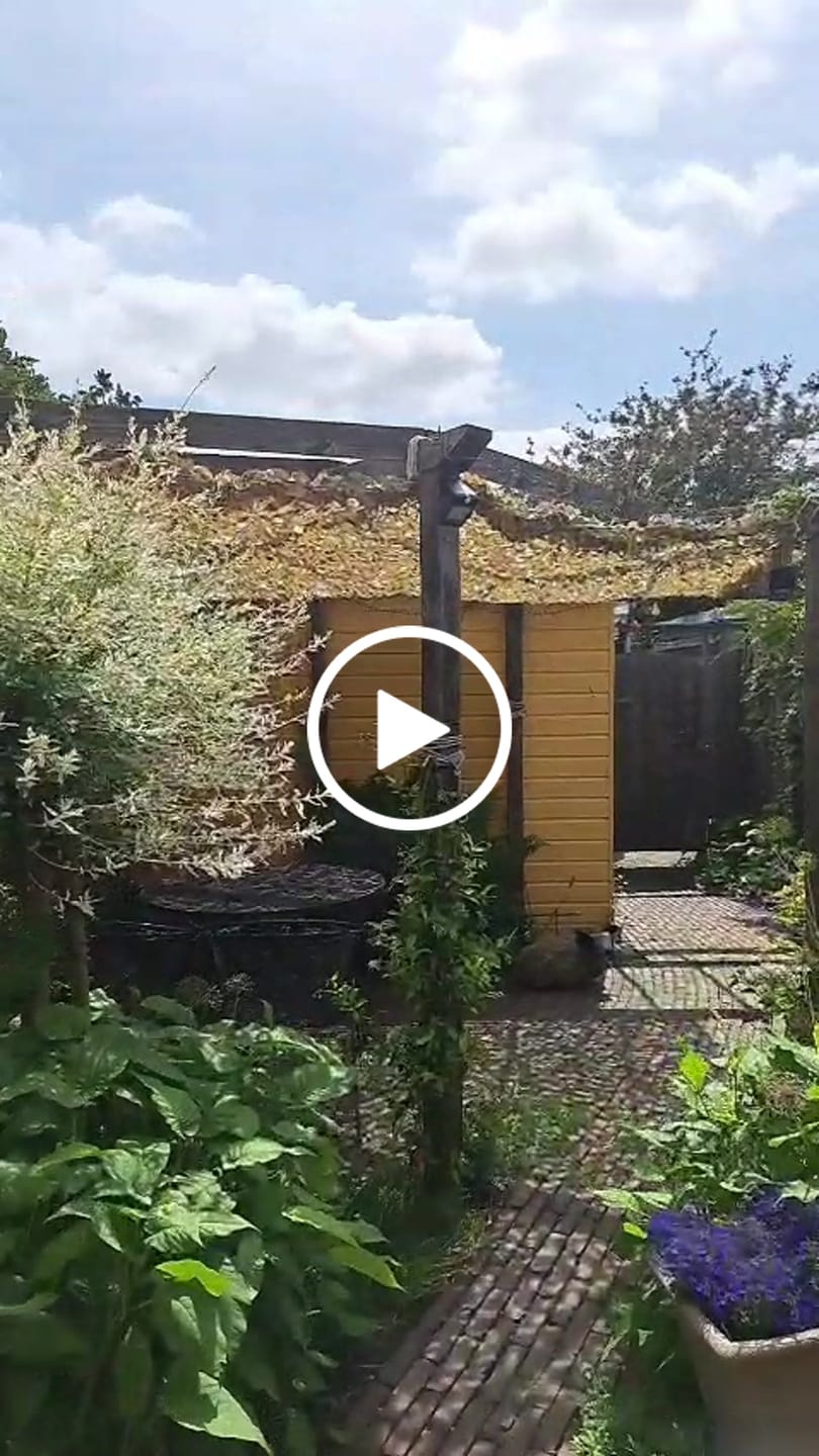 Customer video review of Beige camouflagenet