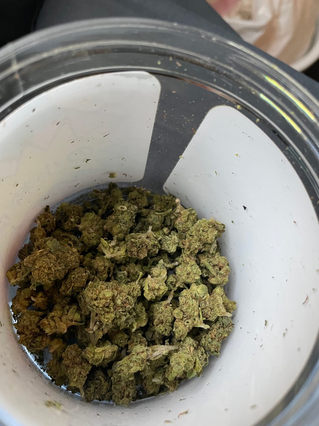 Customer photo review of Biscotti Cake - 28 Grams - Hybrid