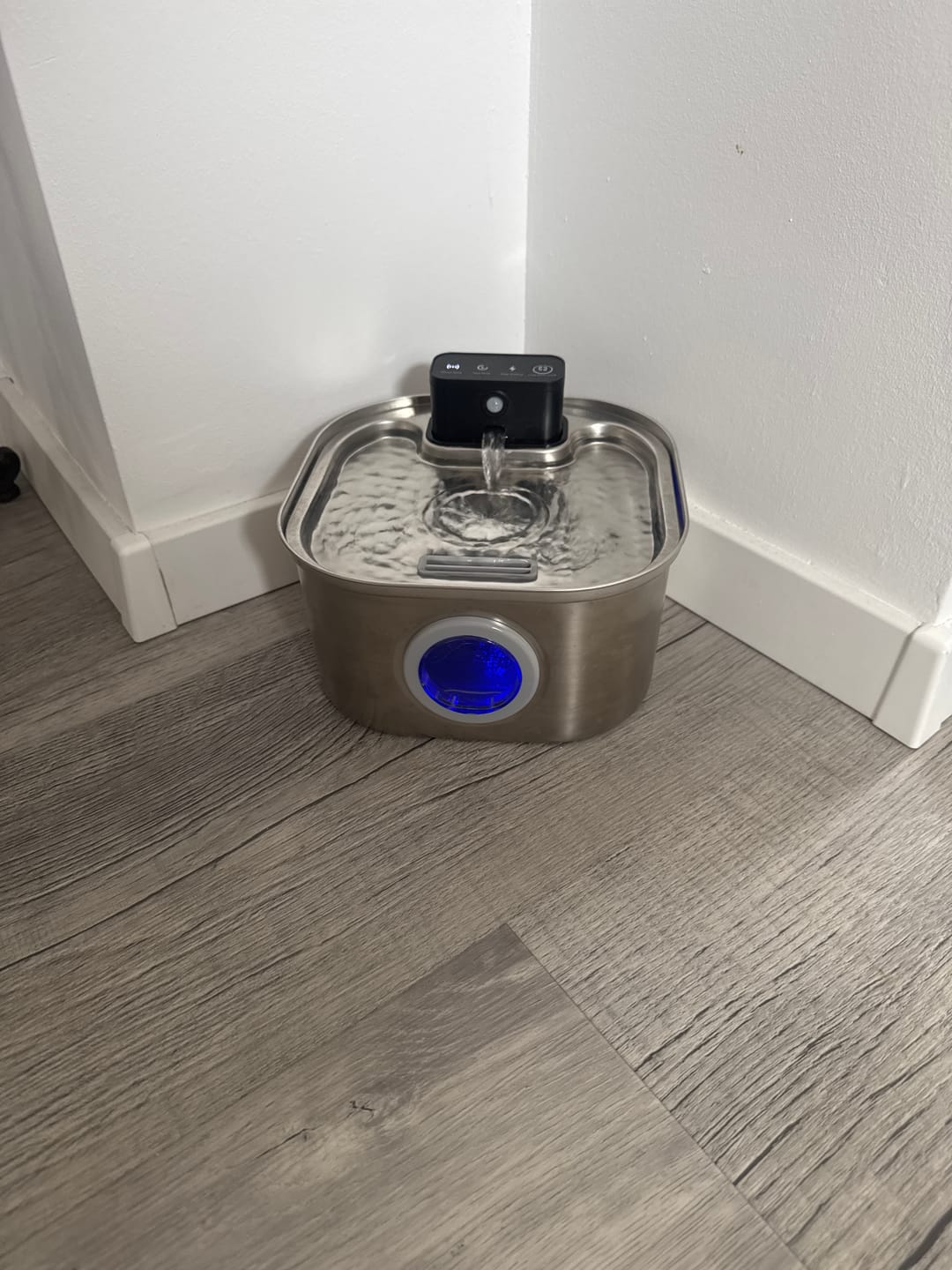 Customer photo review of PfotenBrunnen™ - Katzenwasserspender