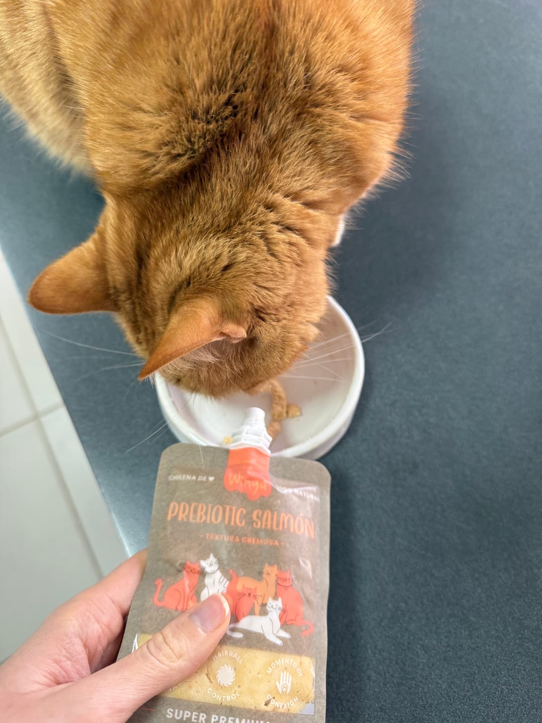 Customer photo review of Prebiotic Salmon Gatos