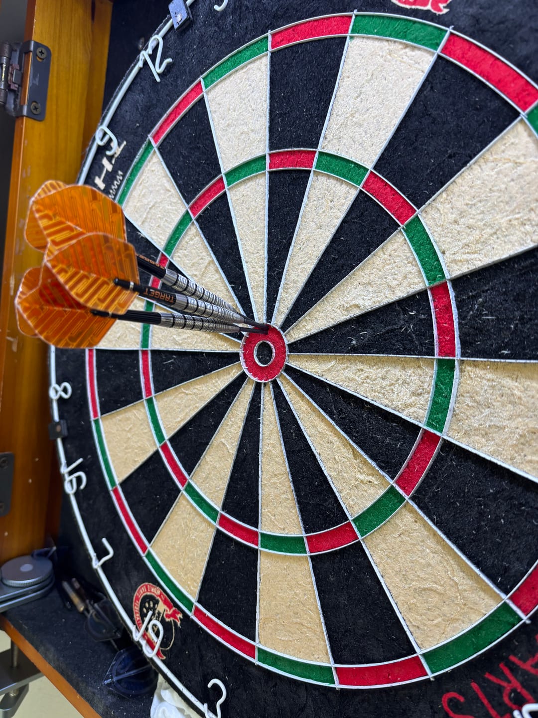 Customer photo review of Shot - Manu - Big Wing Dart Flights