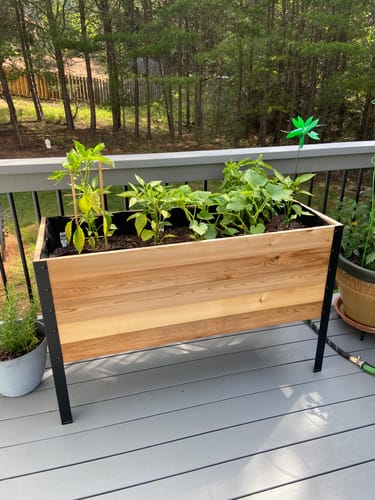 Customer photo review of 18" x 48" Raised Garden Bed - 30" TALL - Select Grade