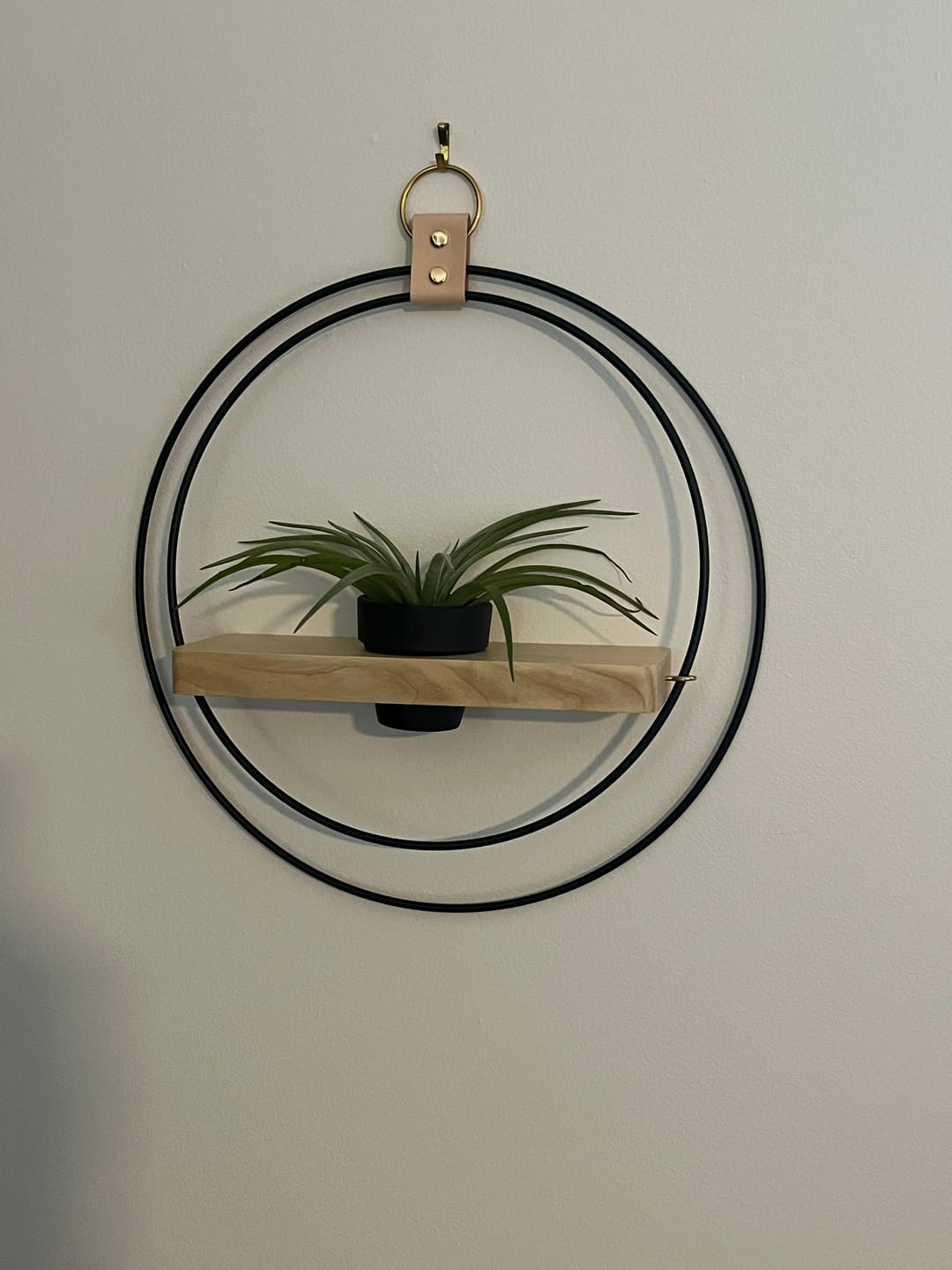 Customer photo review of Air Plant Shelf + Pot