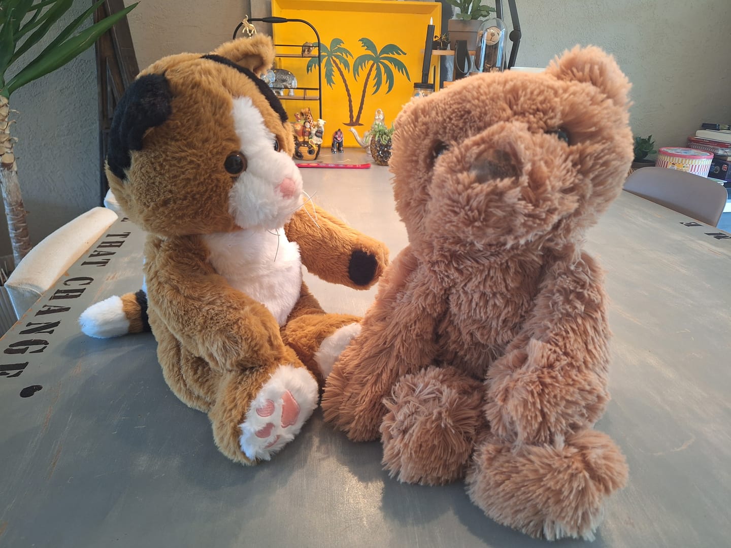 Customer photo review of Verzwaringsknuffel Teddy Beer 2,2 kg + Gratis Pittenzakje