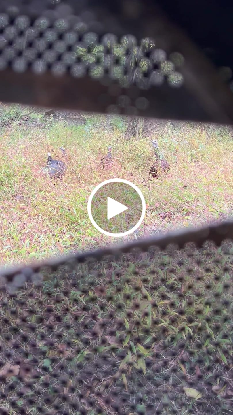 Customer video review of Vis Series 270 Degree See Through Hunting Blind | Portable 2 3 4 Person Ground Blind | Camo Pop Up Ddeer Blind for Deer & Hunters