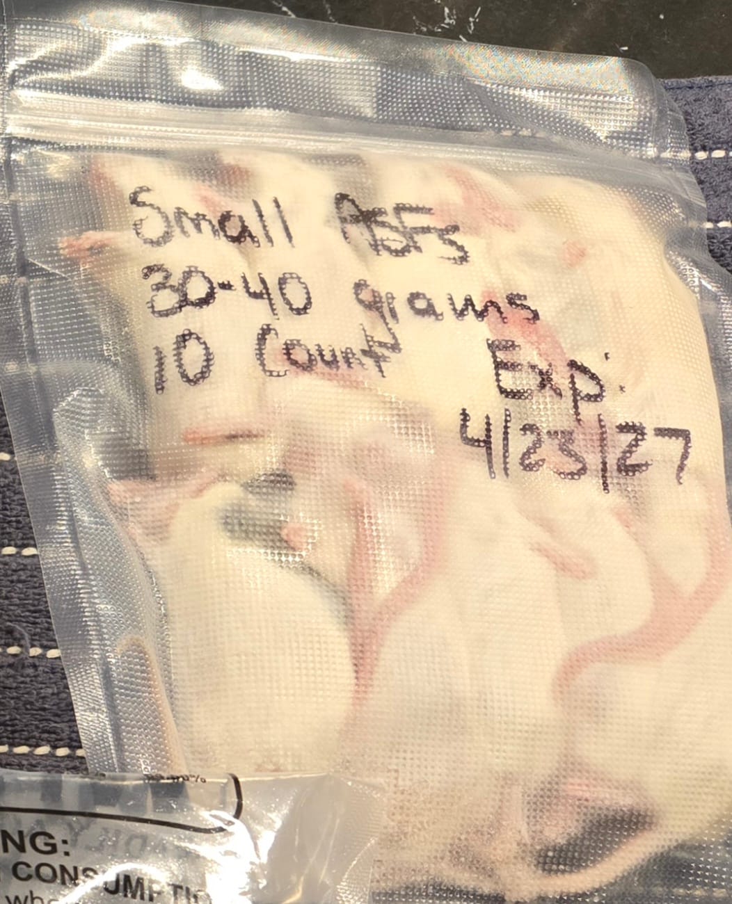 Customer photo review of Small African Soft Fur Rats (10 Count)