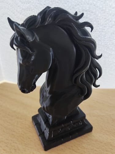 Customer photo review of Anycubic Kobra S1 Combo