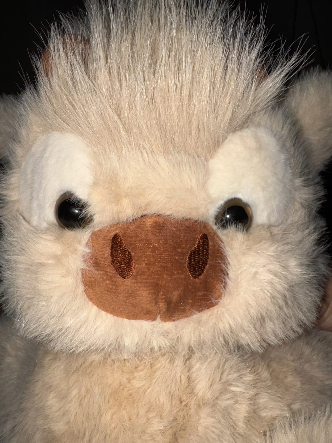 Customer photo review of La peluche vache qui court quand on l’agite | Floomie®