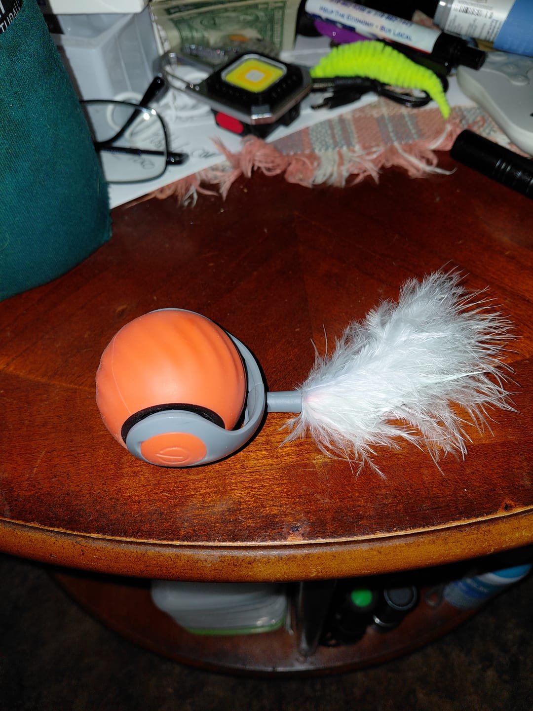 Customer photo review of SPEEDY TAIL 2.0