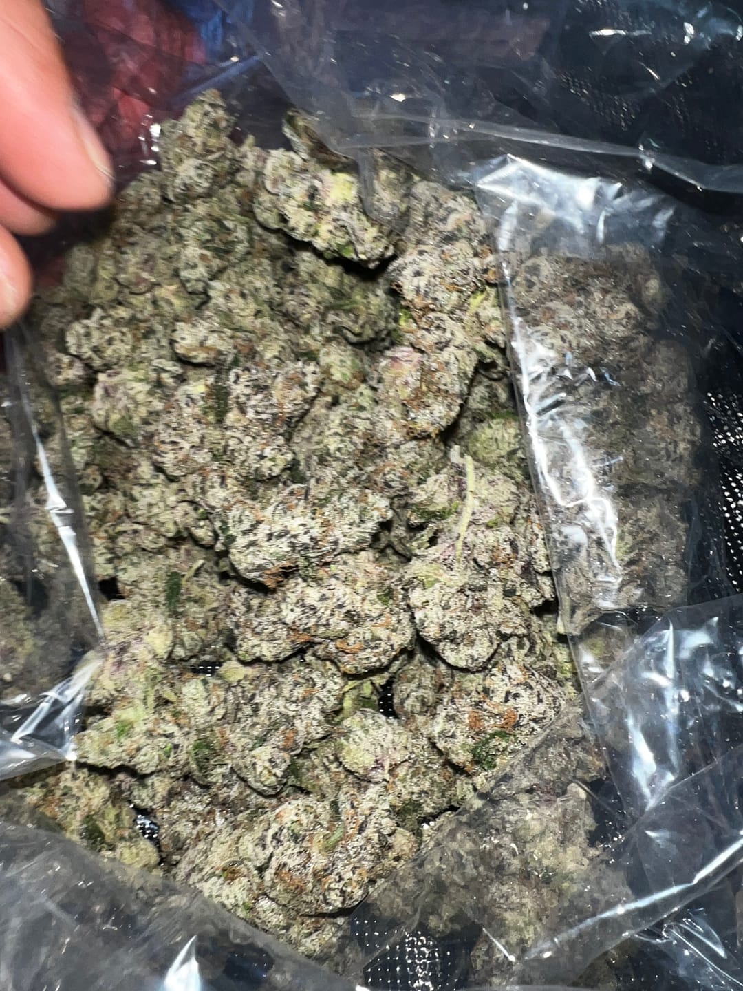 Customer photo review of Elite Boutique Exotic Dark Matter - Bulk - Hybrid