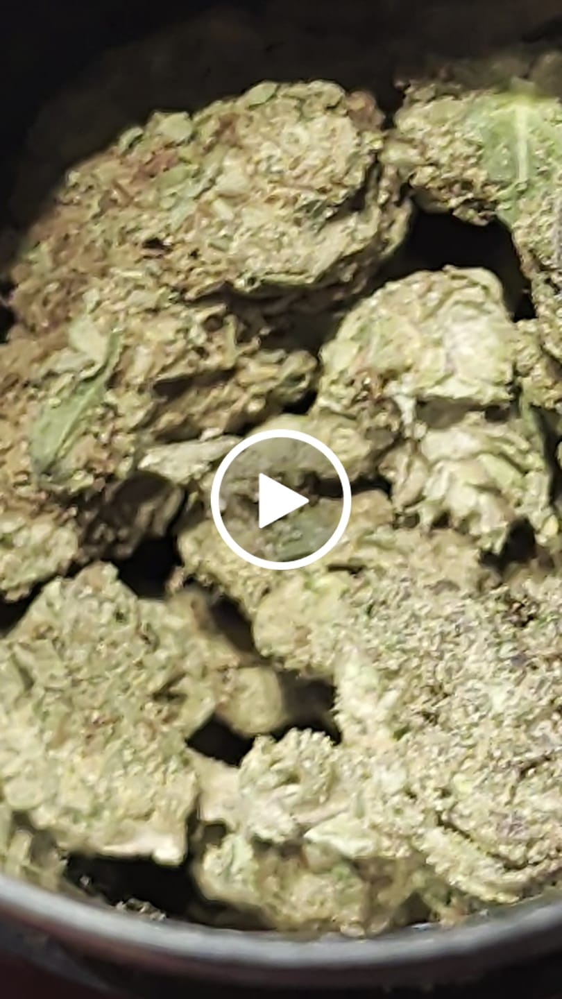 Customer video review of White Russian THCA Flower
