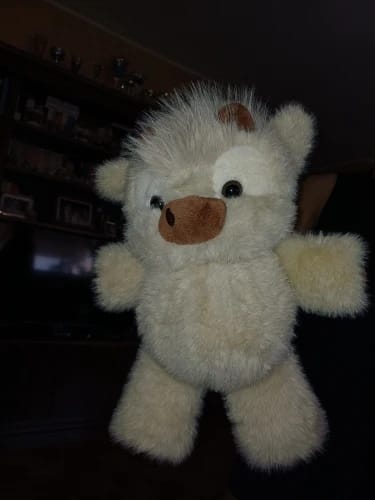 Customer photo review of La peluche vache qui court quand on l’agite | Floomie®