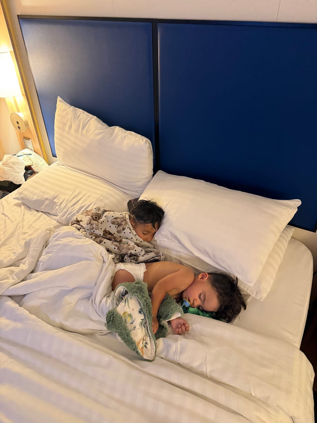 Customer photo review of Embroidered Lion Safari Minky Baby Blanket - Personalized