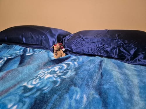 Customer photo review of Navy Blue Silk Pillowcase - Queen Size - Zip Closure