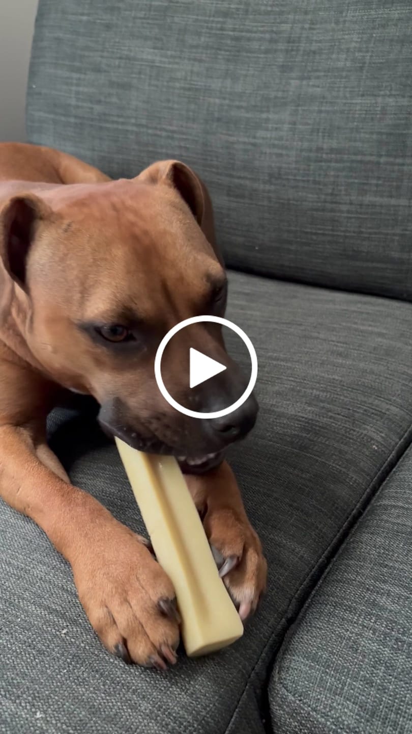 Customer video review of Strawberry Yak Chews