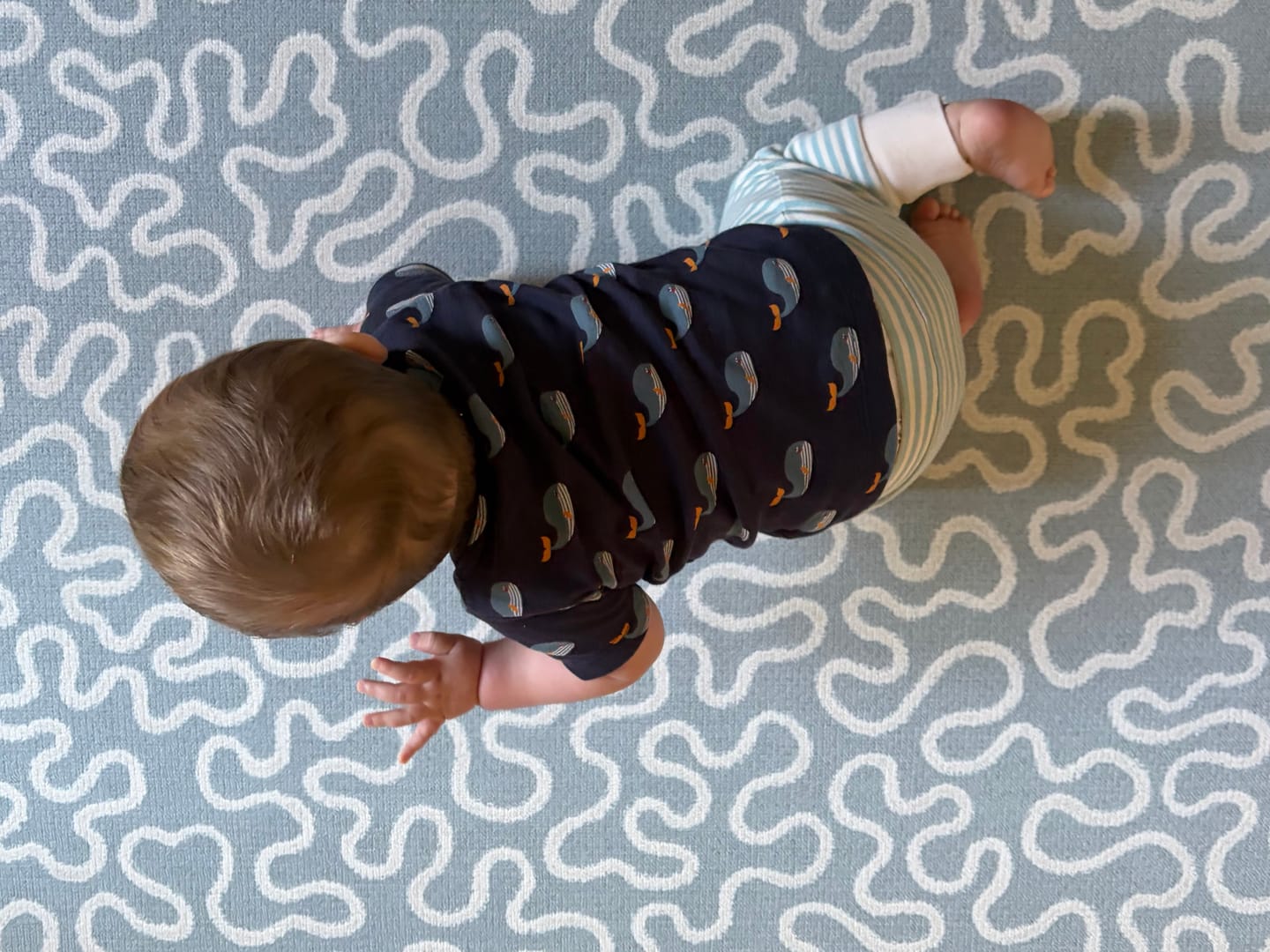 Customer photo review of Whale Song T-Shirt & Jogger Playset