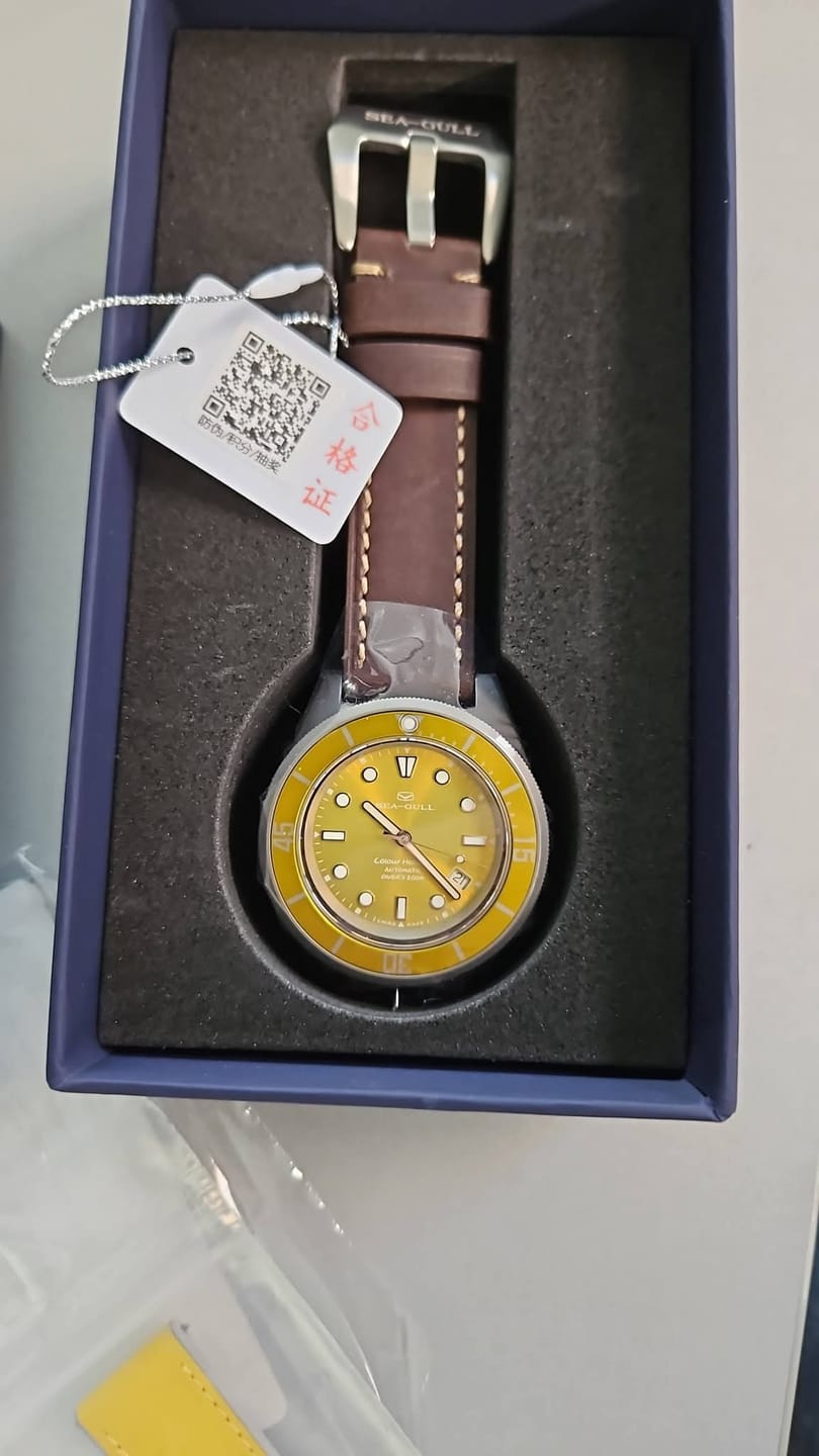 Customer photo review of Ocean Series | Colorful | Titanium Alloy | 200M WR | Extra Strap | 41mm
