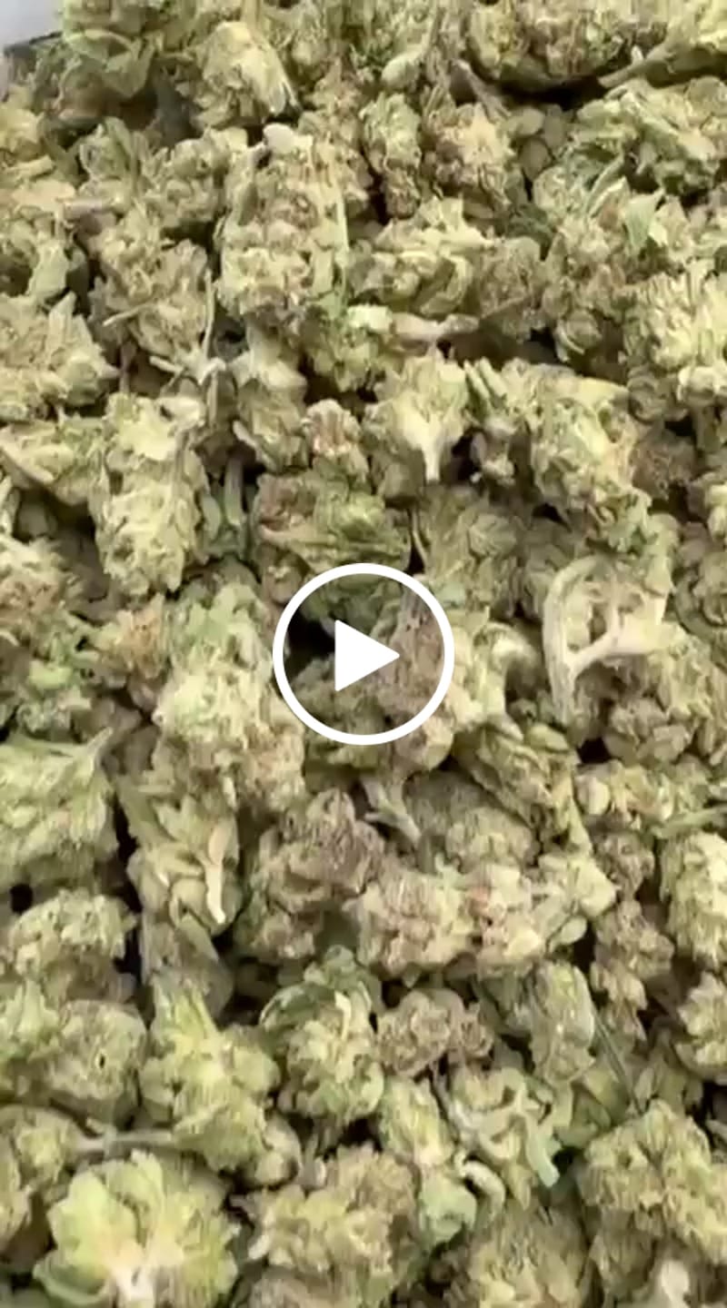 Customer video review of Purple Kush - Minis - 28 Grams - Indica