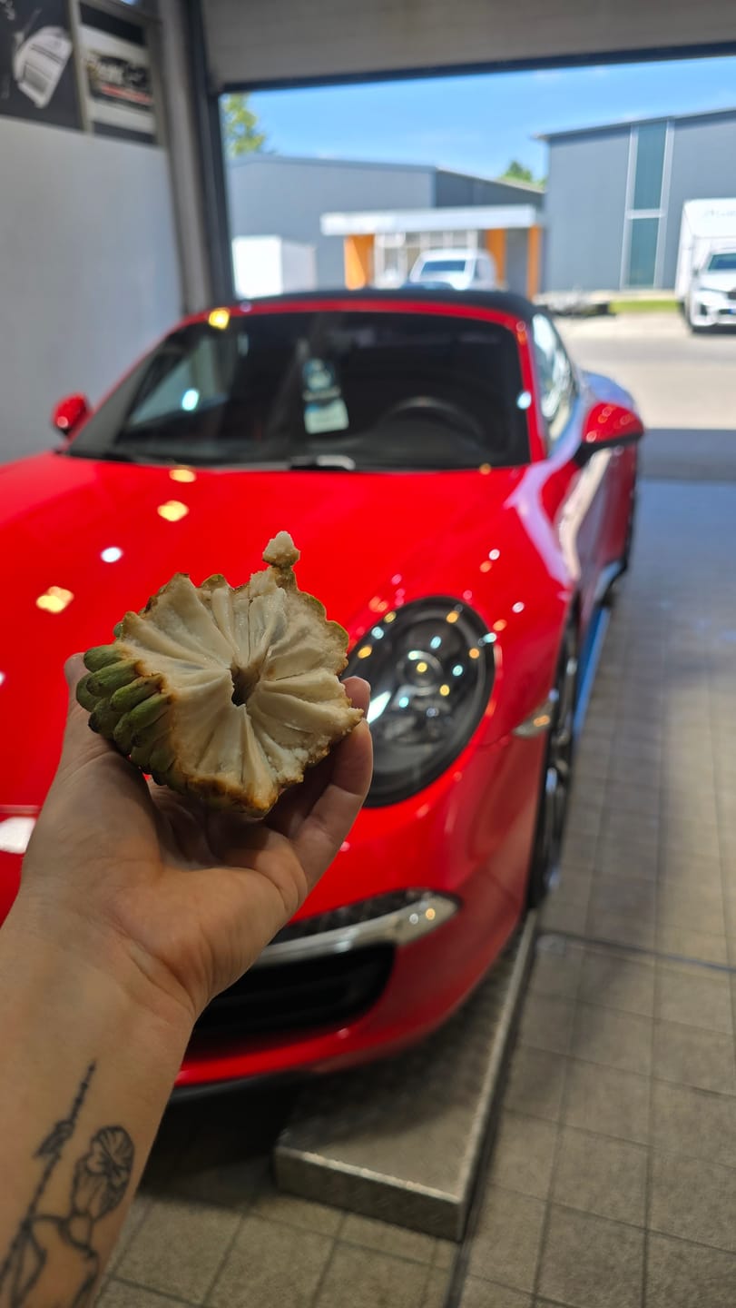 Customer photo review of Atemoya