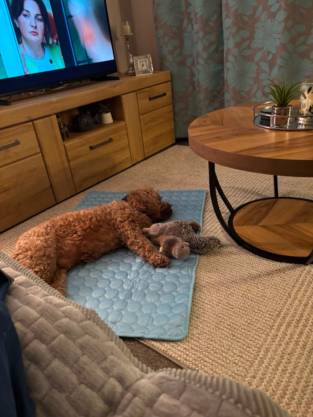 Customer photo review of ChillPaws™ Cooling Mat