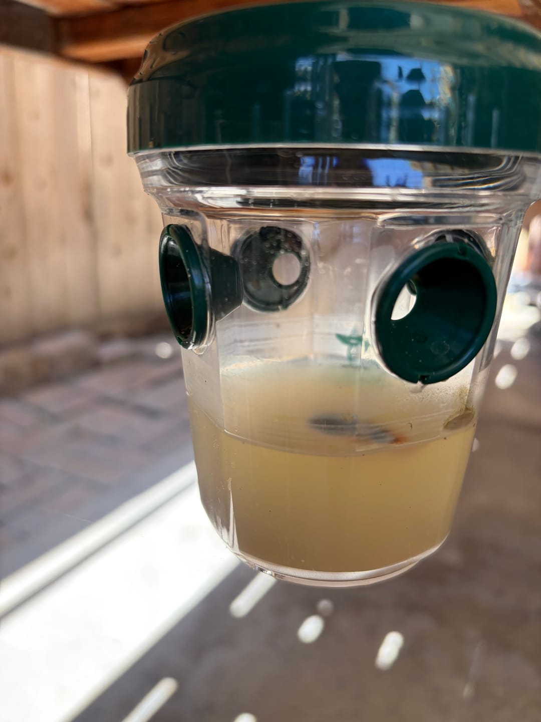 Customer photo review of Mosquito TNT 2.0