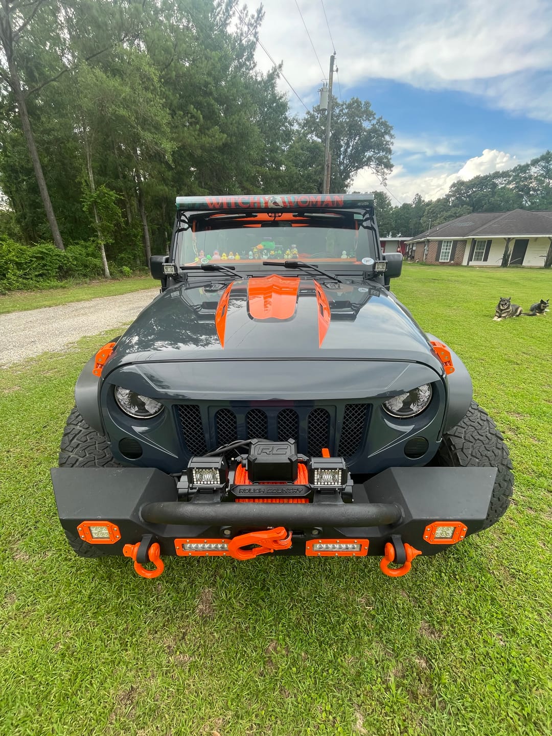 Customer photo review of Custom InsertZ | Dual Row 52"