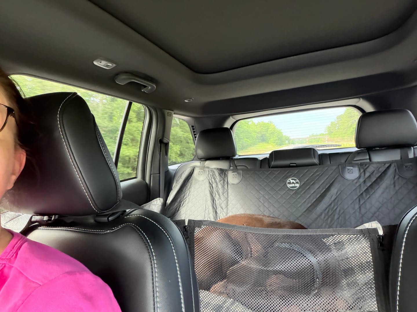 Customer photo review of NEW Waterproof Hard Bottom Car & Truck Seat Foldable Hammock Cover With Storage Pockets, Side Flaps, Headrest Straps, Seat Anchors, & Mesh Window (+FREE SAFETY BELT!)