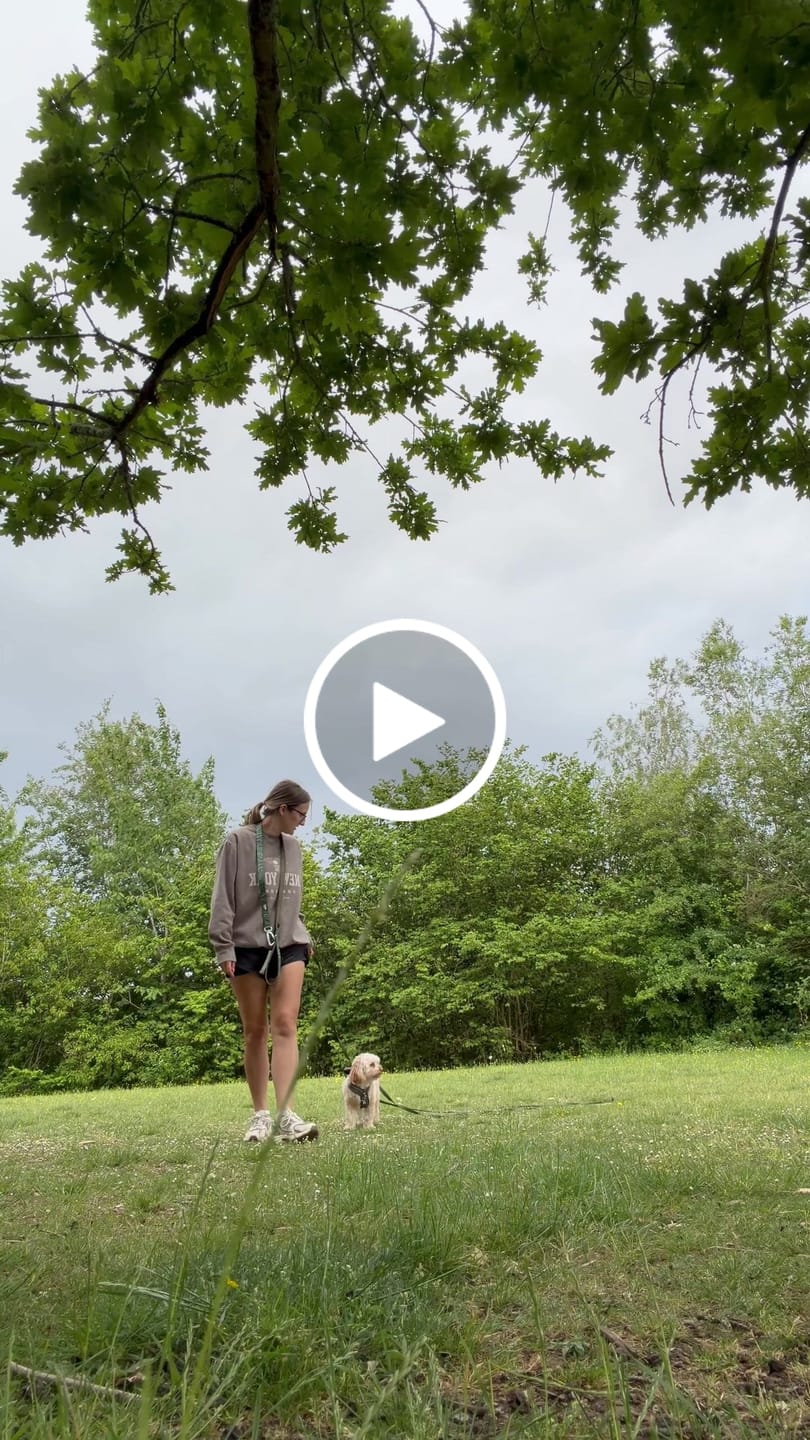 Customer video review of Tidal Waterproof Longline