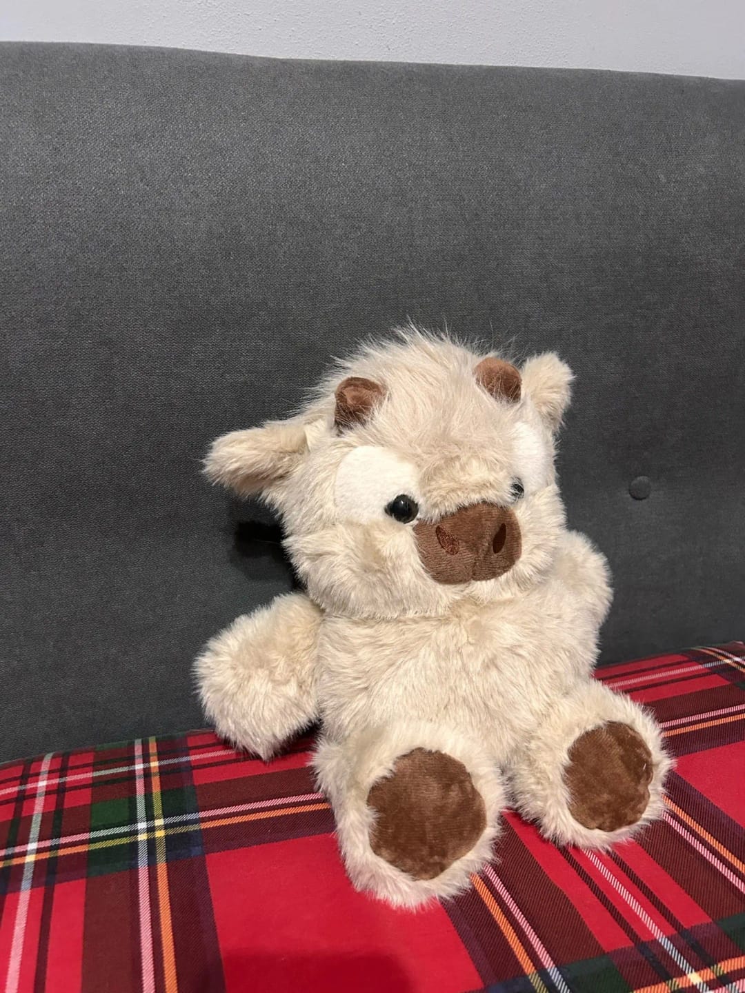 Customer photo review of La peluche vache qui court quand on l’agite | Floomie®