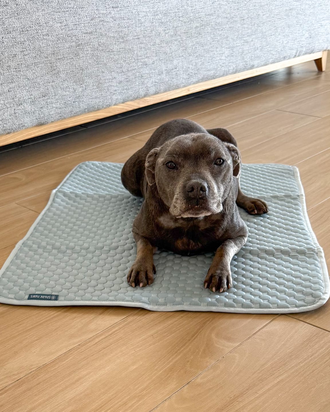 Customer photo review of Frostcore™ Cooling Mat 2 Pack