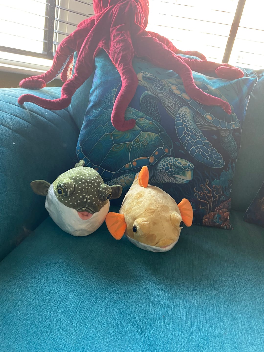 Customer photo review of Pufferfish Boxfish Soft Stuffed Plush Toy