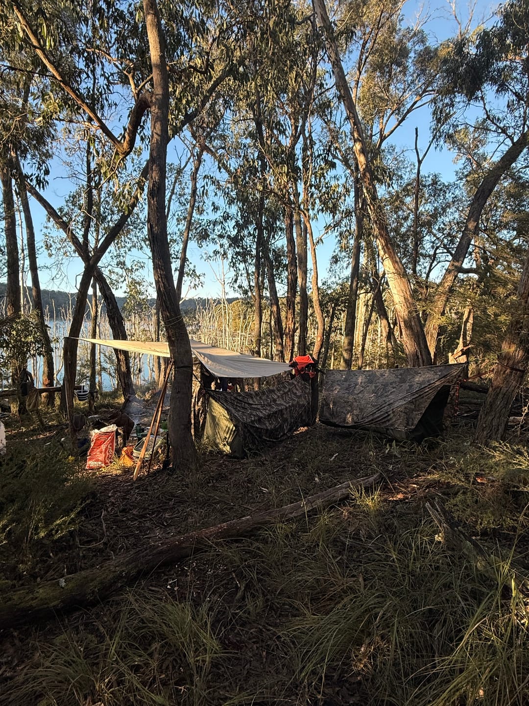 Customer photo review of Haven Tent XL