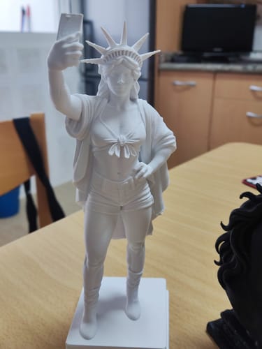 Customer photo review of Anycubic Kobra S1 Combo